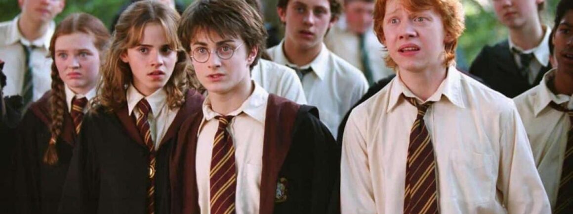 Harry Potter : Arrêtez tout, ce gîte inspiré de la saga est magique !