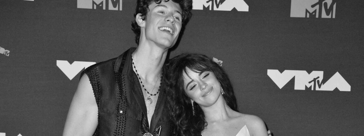 Camila Cabello et Shawn Mendes annoncent leur séparation !