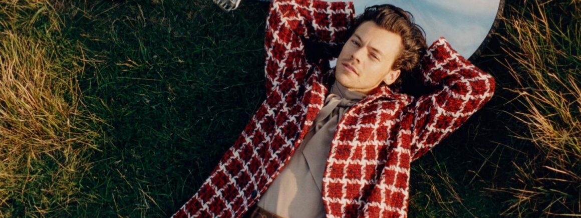 Quand Harry Styles reprend Toxic de Britney Spears (VIDEO)