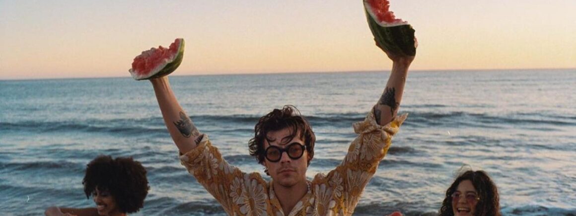 Harry Styles : Watermelon Sugar, que signifie le morceau ?