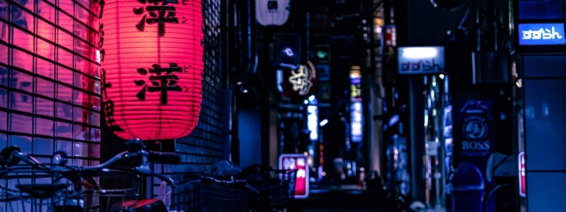 Bienvenue Chez Clément – Afterwork Europe 2 : Au Japon, il est possible de « louer » une personne obèse