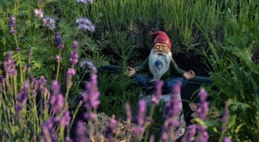 Bienvenue Chez Clément : Elle reçoit des lettres de son nain de jardin volé quelques mois auparavant !