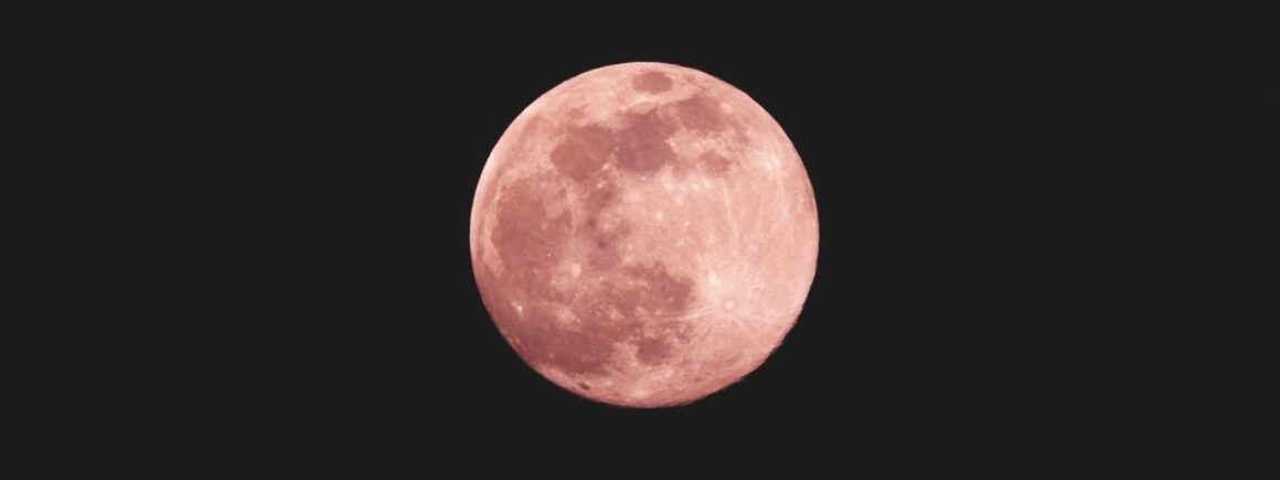 Astro : La Lune Rose vue par Twitter