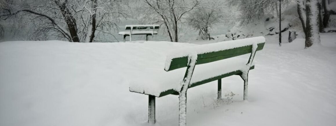 Nico Richonchon : La France sous la neige, le meilleur de Twitter