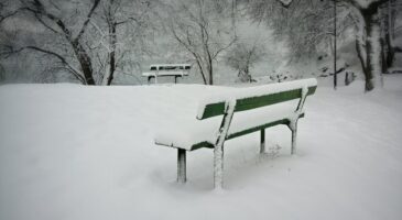 Nico Richonchon : La France sous la neige, le meilleur de Twitter