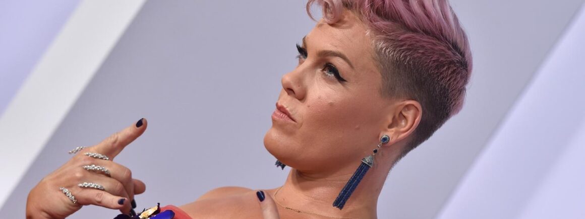 Pink et sa fille chantent Noël (VIDEO)