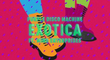 Écoutez Exotica, le nouveau titre de Purple Disco Machine (AUDIO)