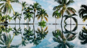 Insolite : Télétravailler depuis l'île Maurice ? C'est possible !