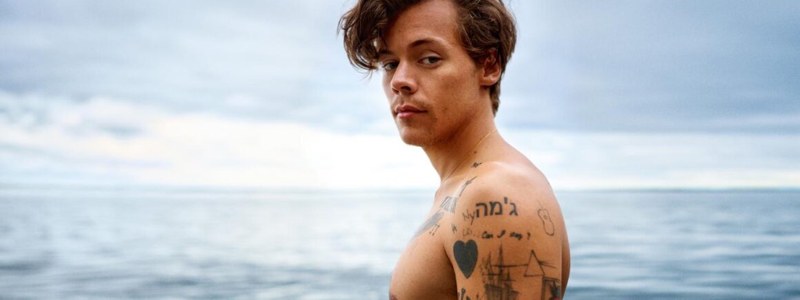 Harry Styles a choisi son prochain single