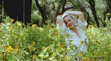 Le clip de Croîs au printemps de -M-, le live inédit de Madonna à Coachella et Katy Perry avec Daisies... Toutes les vidéos de la semaine !