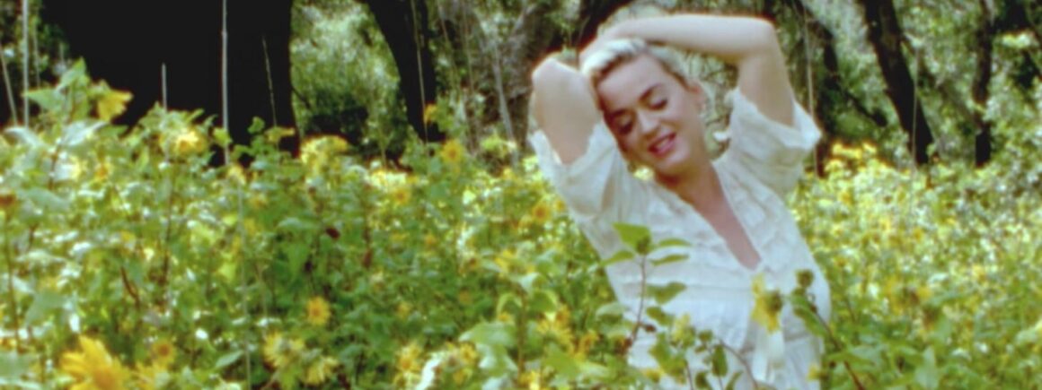 Katy Perry affiche son ventre rond dans le clip de Daisies (VIDEO)