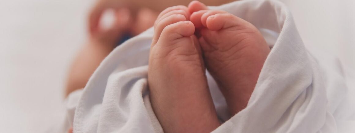 Des sextuplés, entendre la voix de Louis XIV pour la première fois et un enfant qui reprend Freddie Mercury dans le top Insolite de la semaine