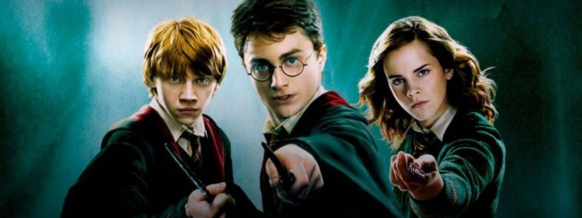 Quand Trinix remixe Harry Potter, ça donne ça (VIDEO)