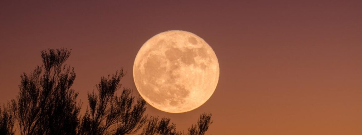 Bienvenue Chez Clément – Afterwork Europe 2 : Avez-vous observé la Super Lune cette nuit ?