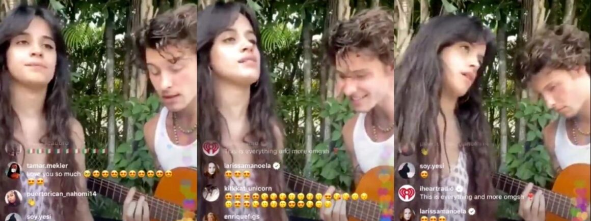 Live Réseaux Sociaux : Camila Cabello et Shawn Mendes livrent une belle prestation (VIDEO)