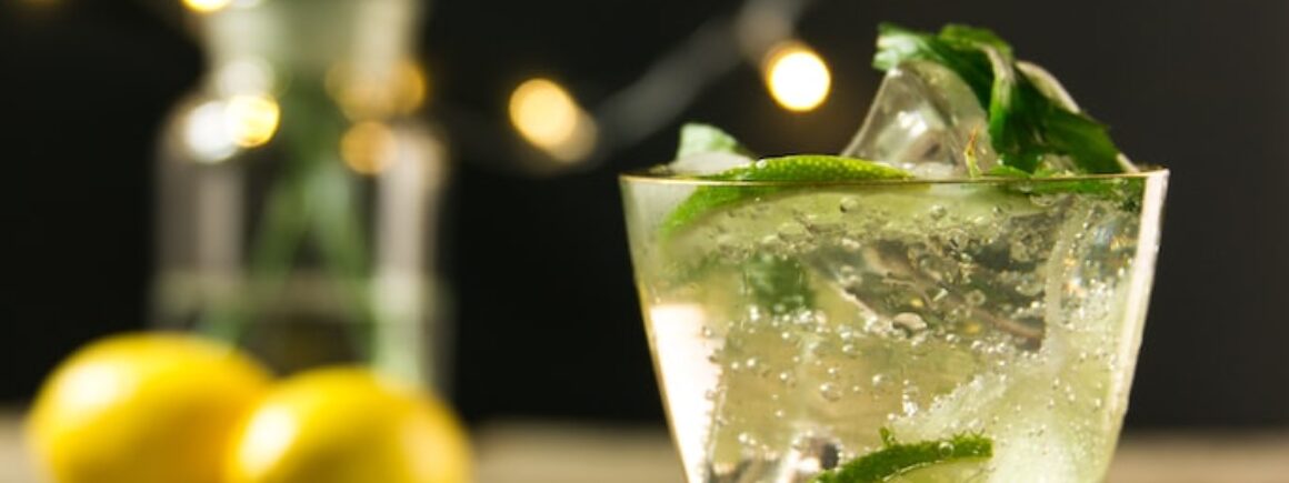 Alerte ! On a la recette du Mojito, cocktail préféré des européens !