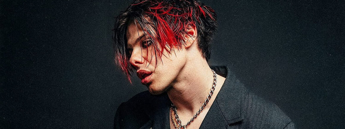 Yungblud en concert à Lille vu de Twitter (VIDEO)