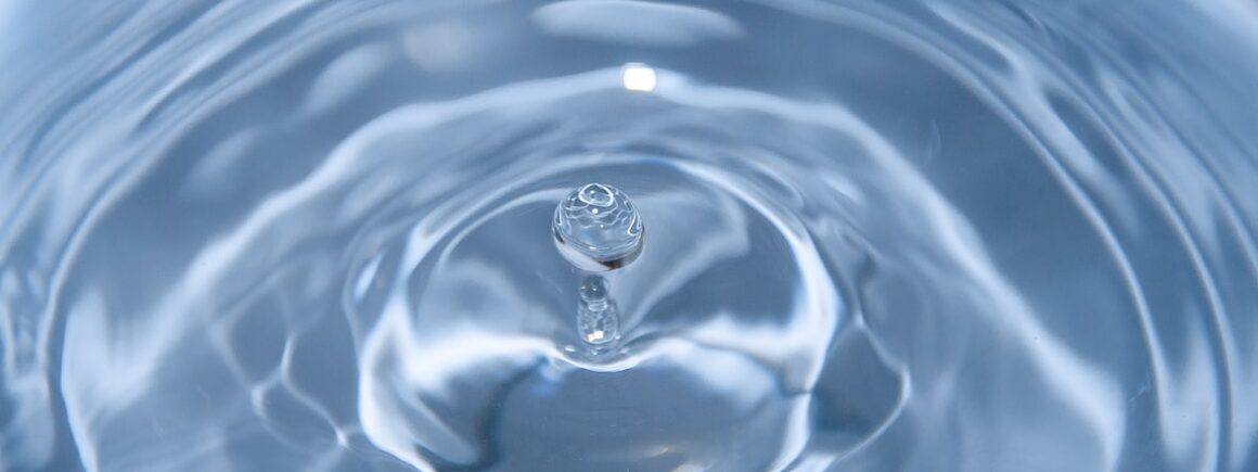 C’est la Journée Mondiale de l’eau !