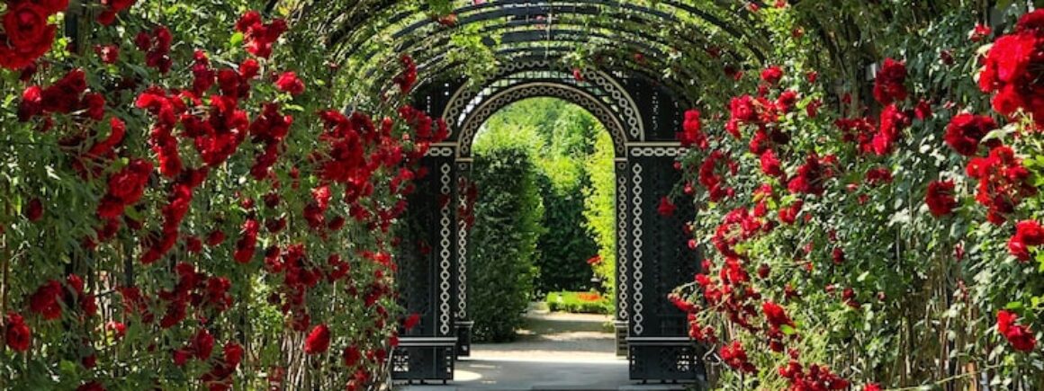 Tailler, Planter… 3 erreurs à ne pas faire dans son jardin au printemps