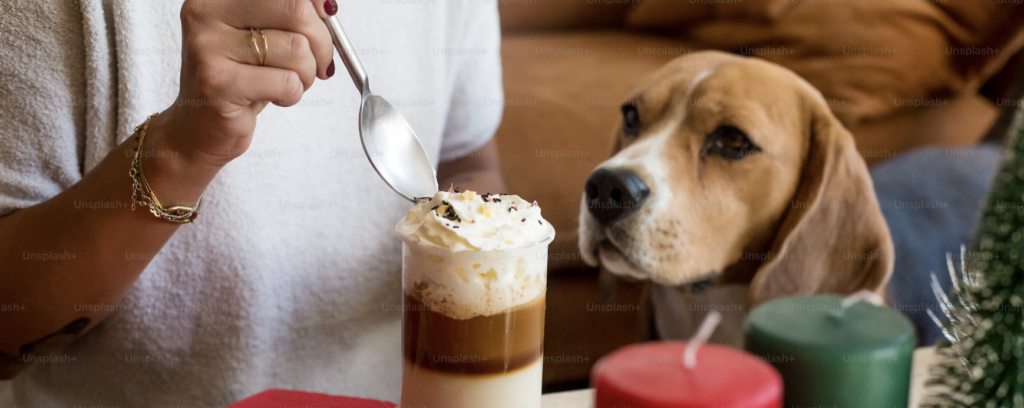 Café pour chiens x Paris