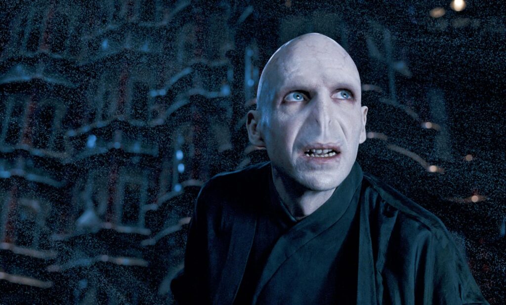 Voldemort x Harry Potter